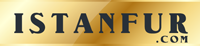 logo istanfur